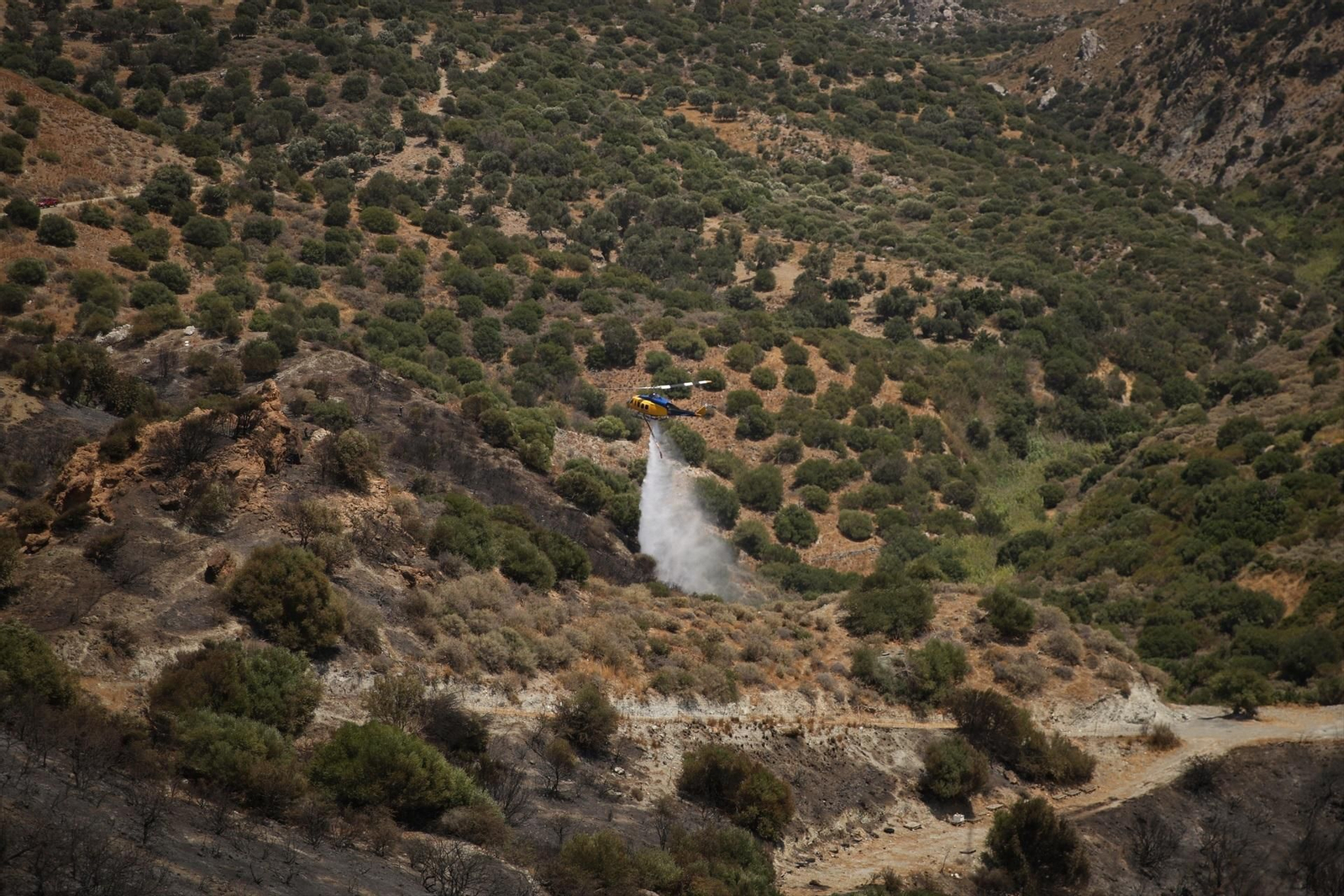 Incendios en Grecia
