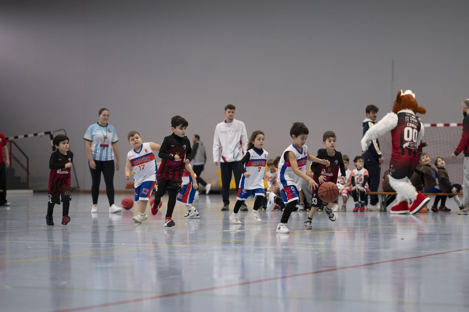 Galería | El babybasket vuelve a Ourense con su primera concentración  de la temporada
