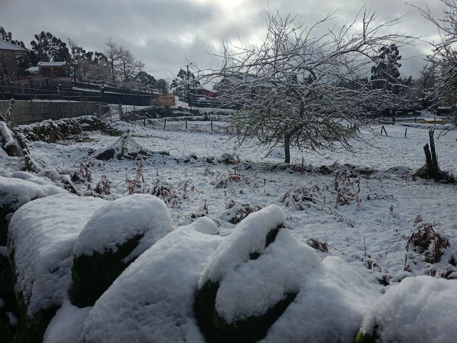 Galería | La nieve da la bienvenida al invierno en A Cañiza