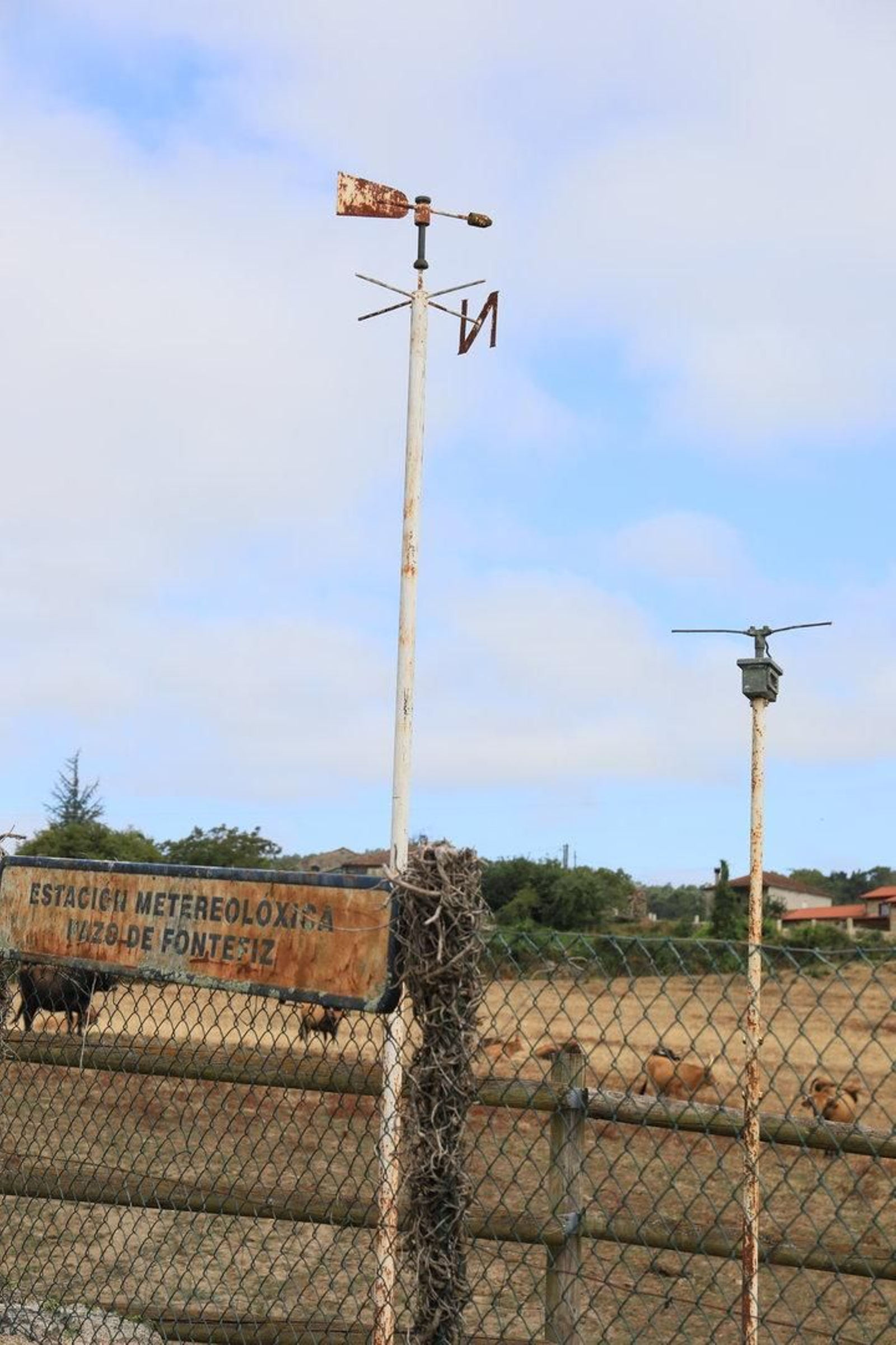 COLES 8/08/2024.- Tesoros por descubrir, Coles. Pazo de Fontefiz.  José Paz