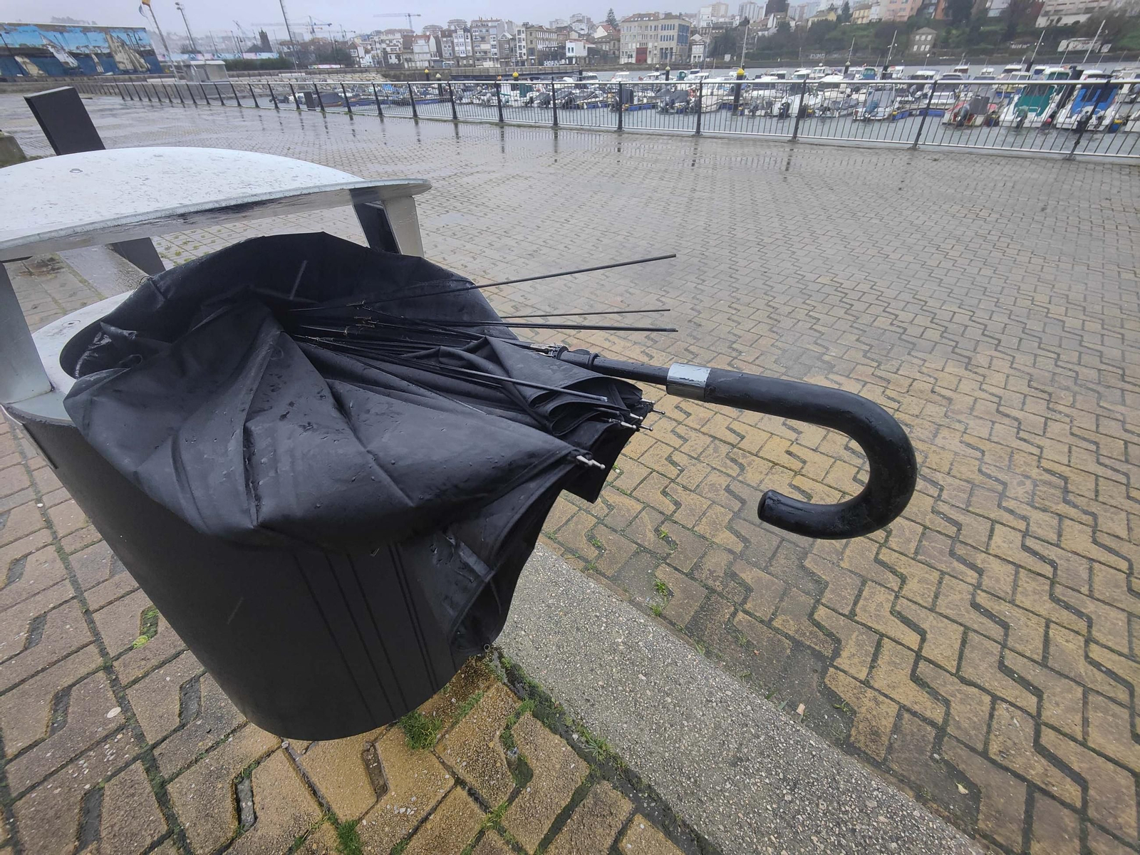 GALERÍA | Los estragos de la borrasca Herminia en Vigo