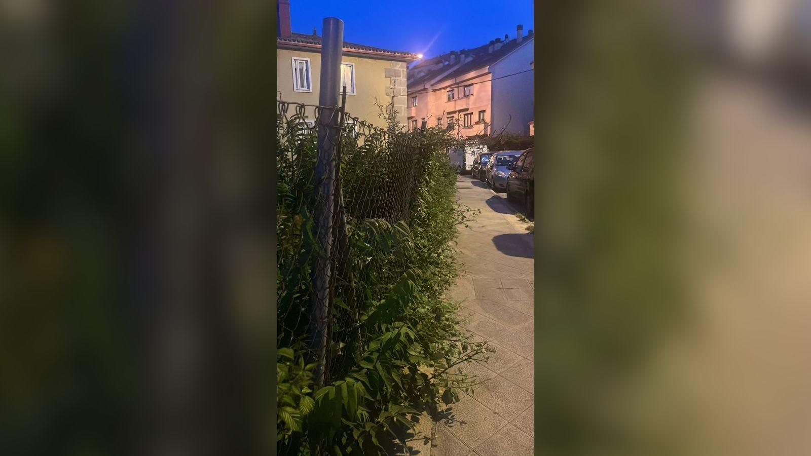 ¿Sabe usted que Ourense tiene sus propios ecosistemas, propensos para los incendios, por cierto?