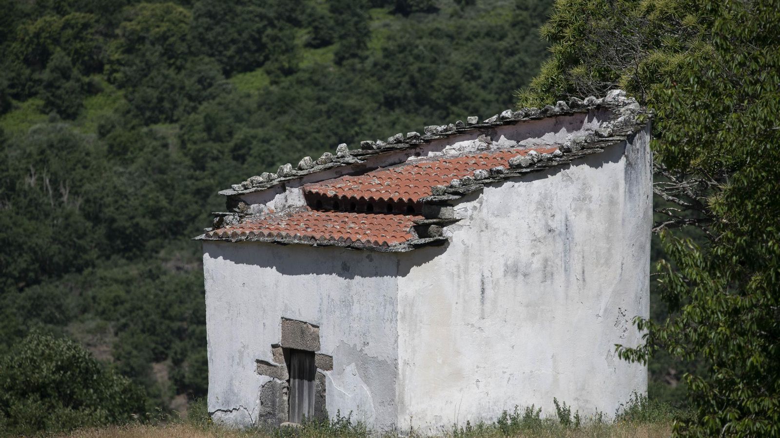 Pombal en Manzalvos