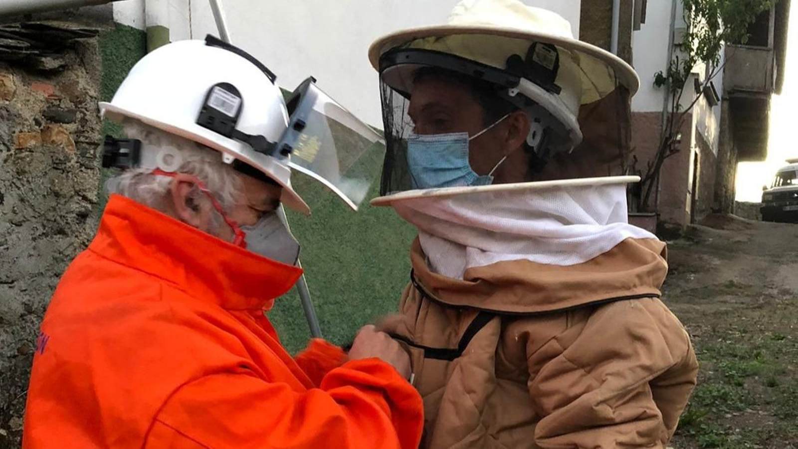 Dos voluntarios de A Rúa se protegen de las velutinas.