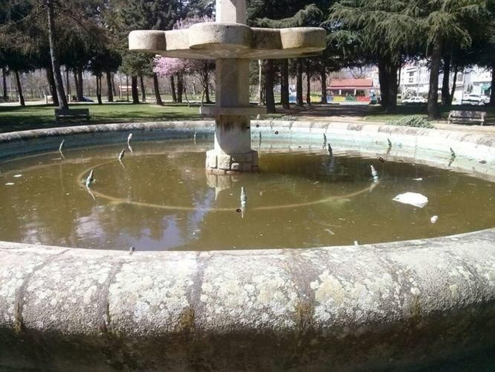 Fuente plaza del O Toural.