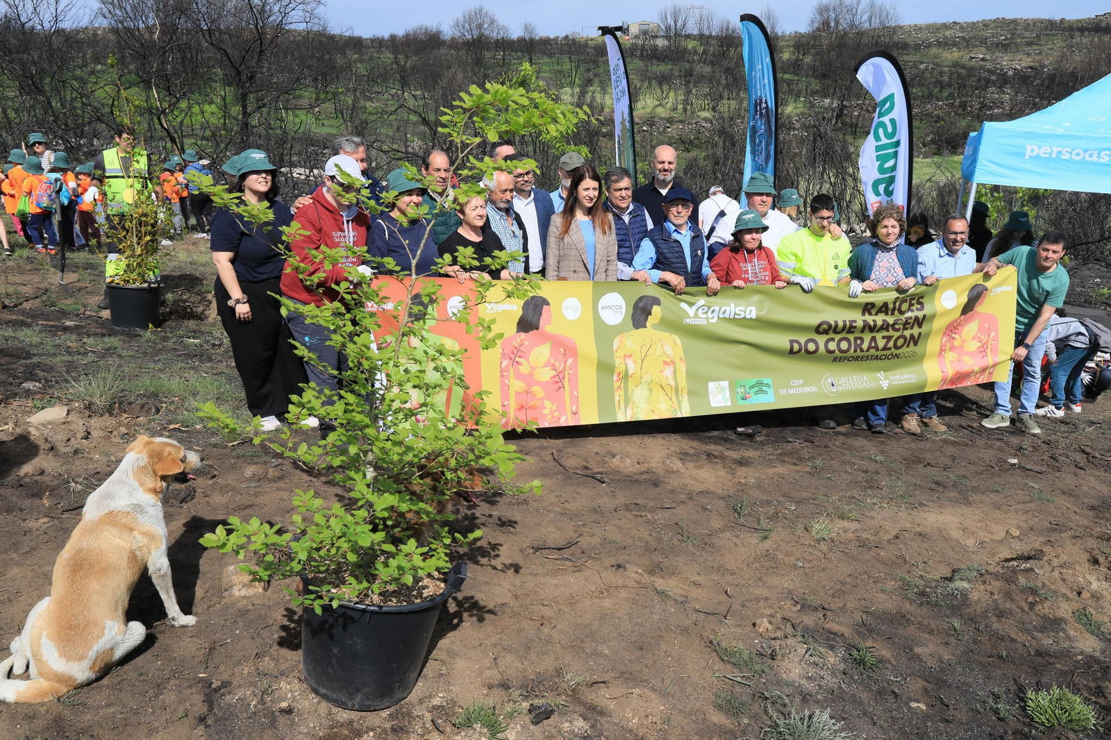 Galería | Numerosos niños reforestan A Caridade tras los incendios del pasado agosto