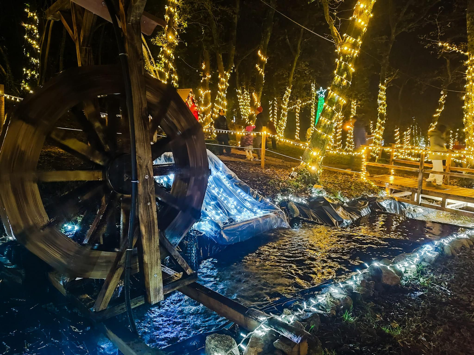 Bosque do Nadal en Noalla