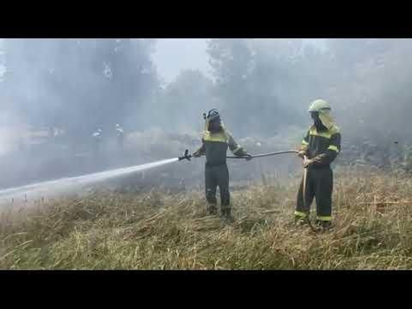 Brigadistas en un incendio de la provincia de Ourense.