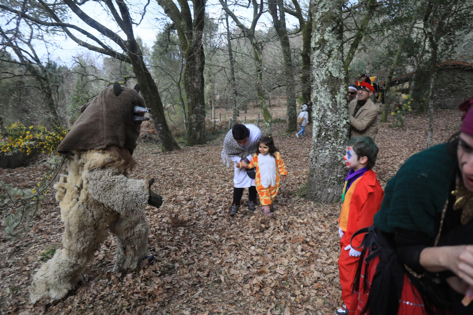 Caza del oso en Sande, Cartelle. José Paz