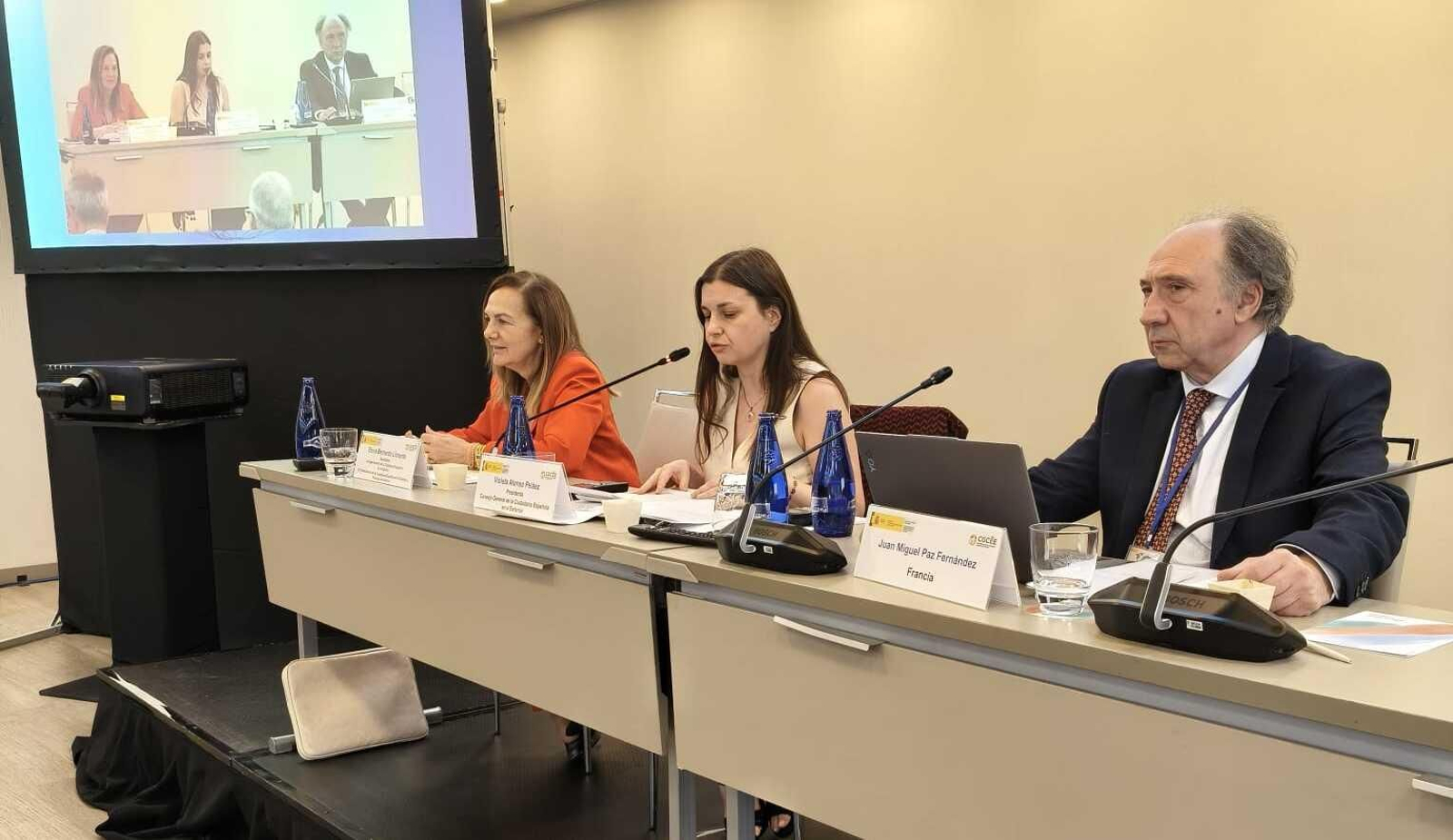 Debate de propustas de la Comisión de Asuntos Jurídicos  (1)