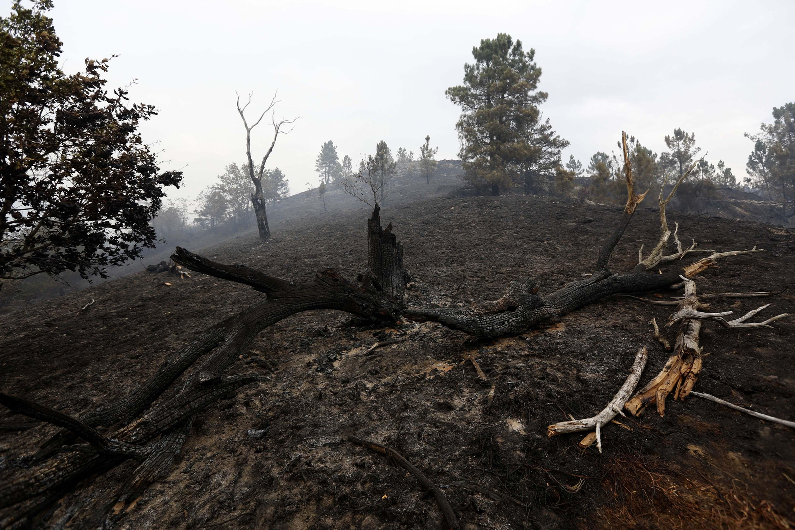 Rebordechao (Vilar de Barrio). (Foto: Xesús Fariñas)
