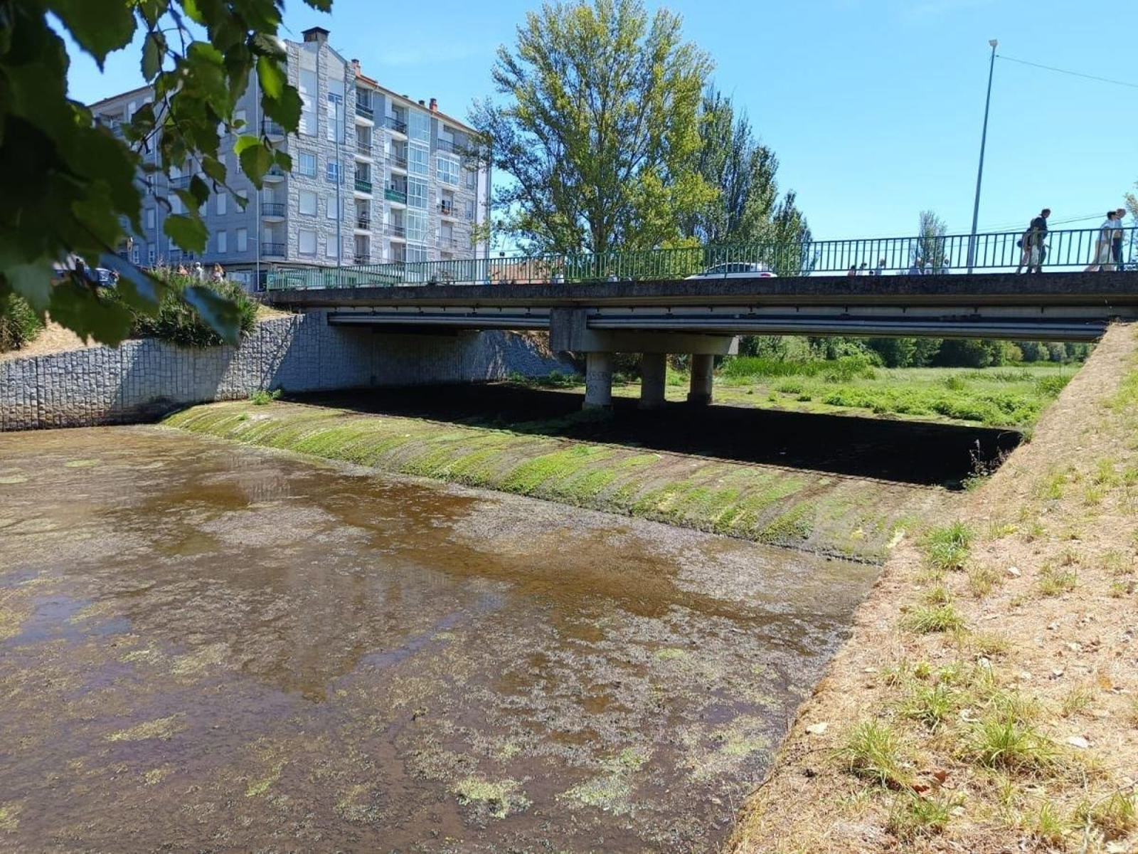 Aspecto del río Limia a su paso por Xinzo (Foto: J.J. Cid).