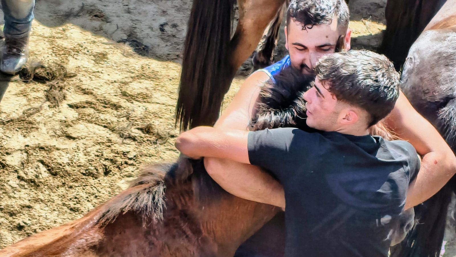 Dos de los aloitadores tapando la visión al caballo para reducirlo.