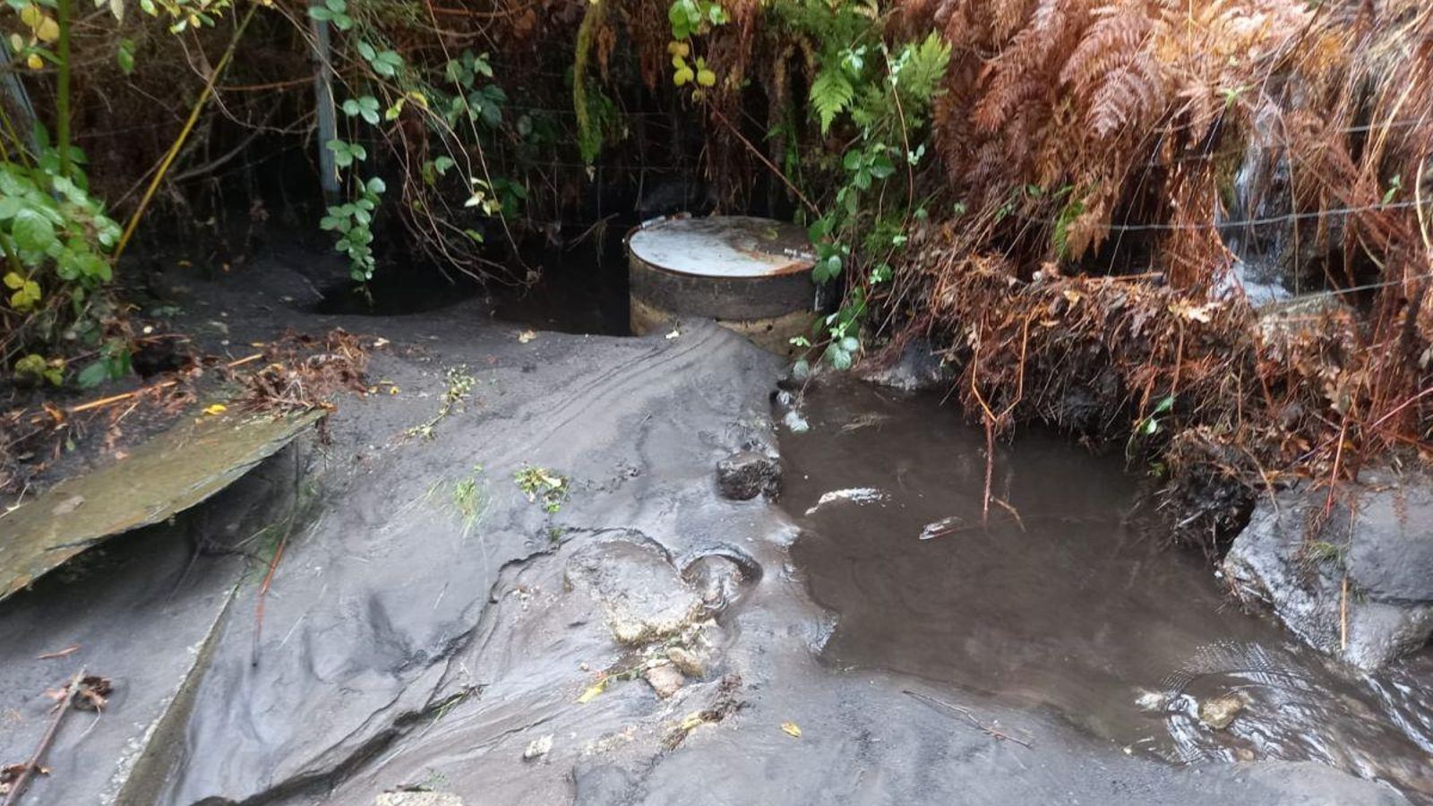 Las consecuencias de los arrastres de ceniza tras los incendios.