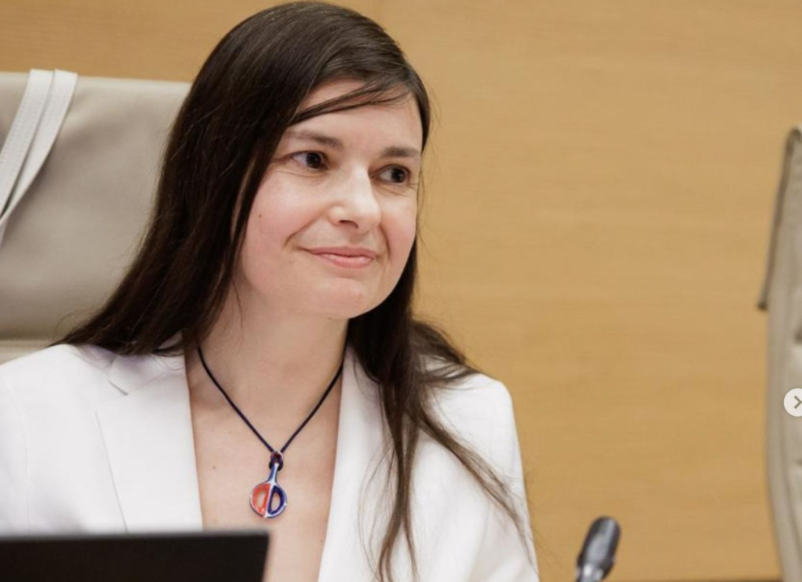 La presidente del CGCEE, Violeta Alonso presidiendo el último pleno
