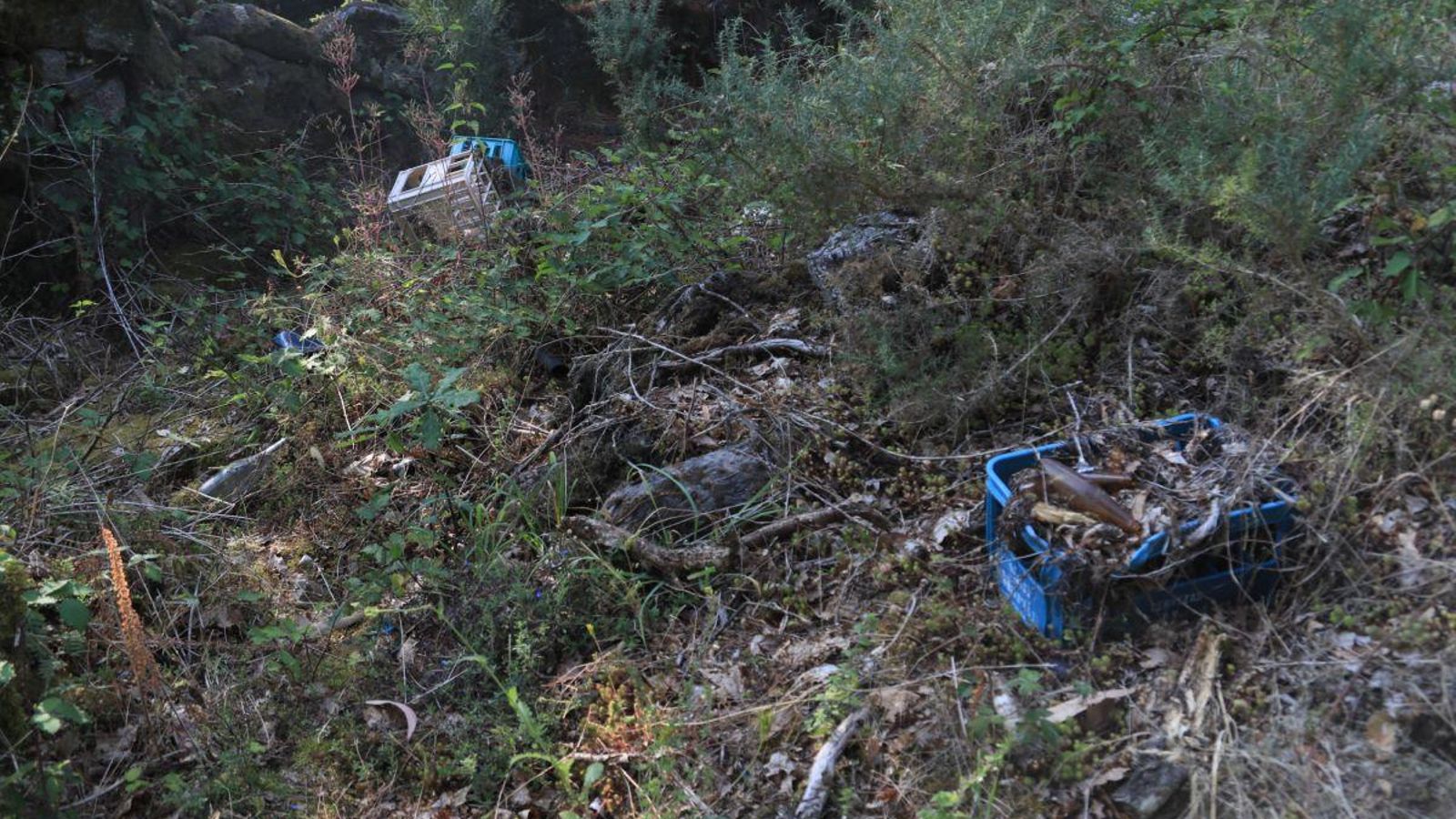 Cajas de cervezas cerca del antiguo vertedero de Luintra. (FOTO: JOSÉ PAZ).
