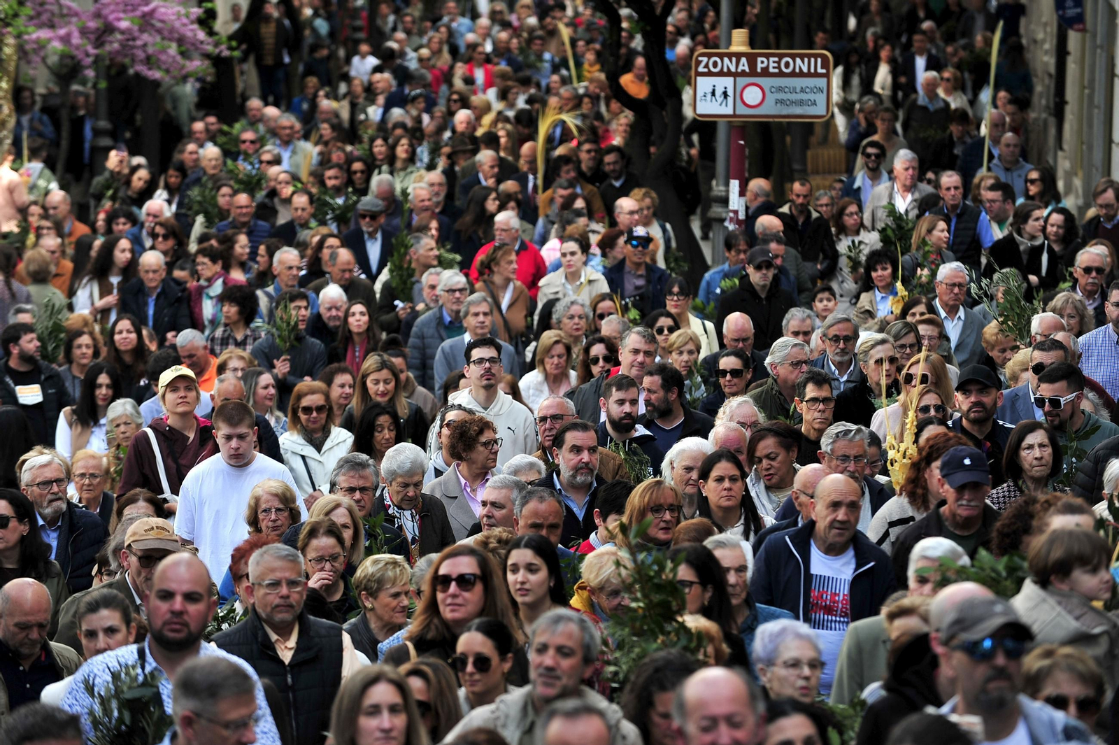 Galería | El Domingo de Ramos, primera gran muestra de devoción popular en Ourense