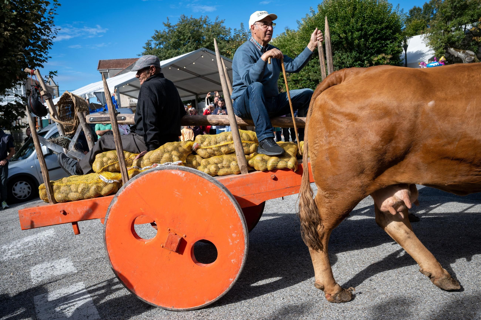 Galería | Vilar de Barrio disfruta un año más con al Festa da Pataca