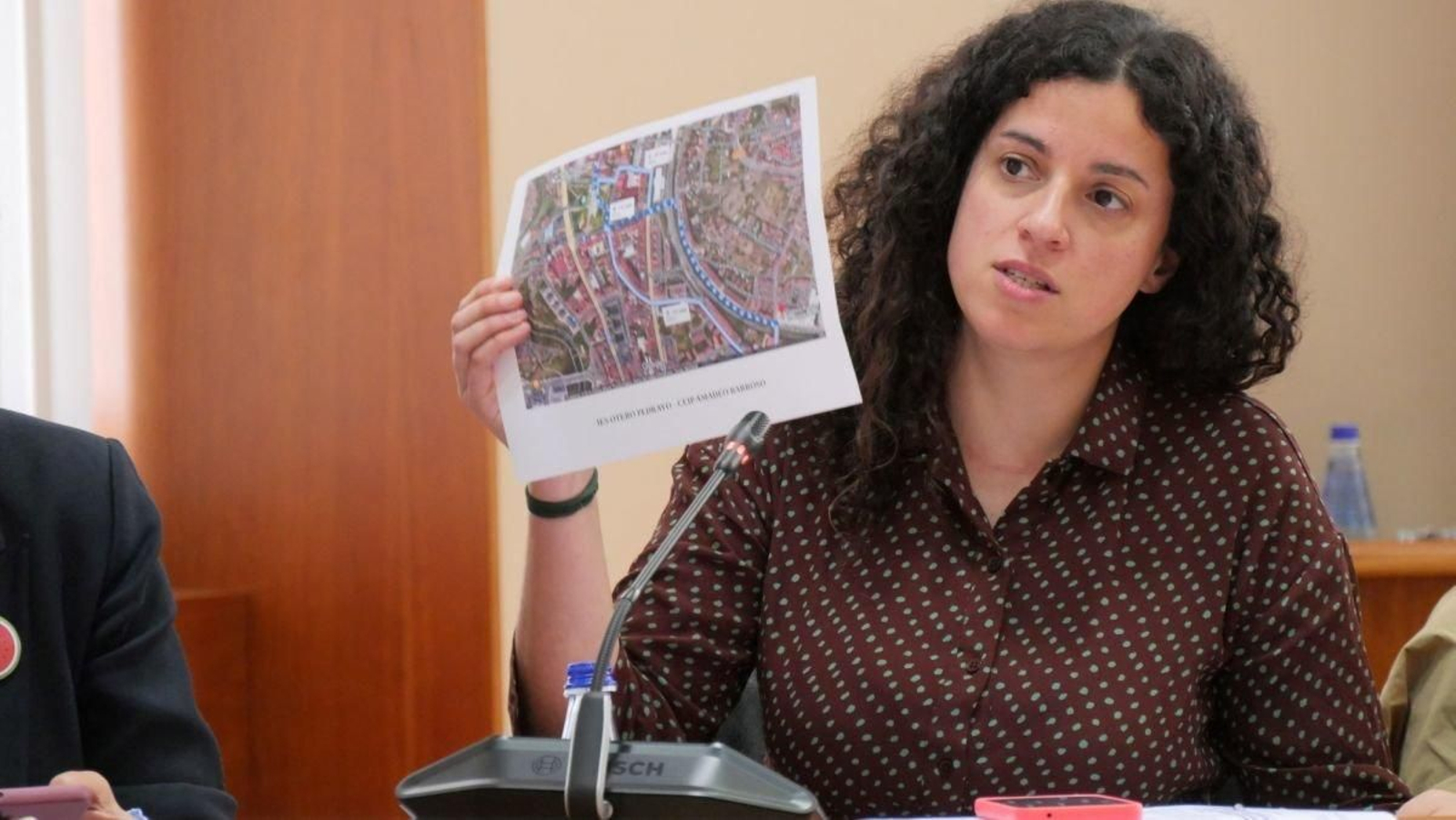 Noa Presas, en la comisión del Parlamento.