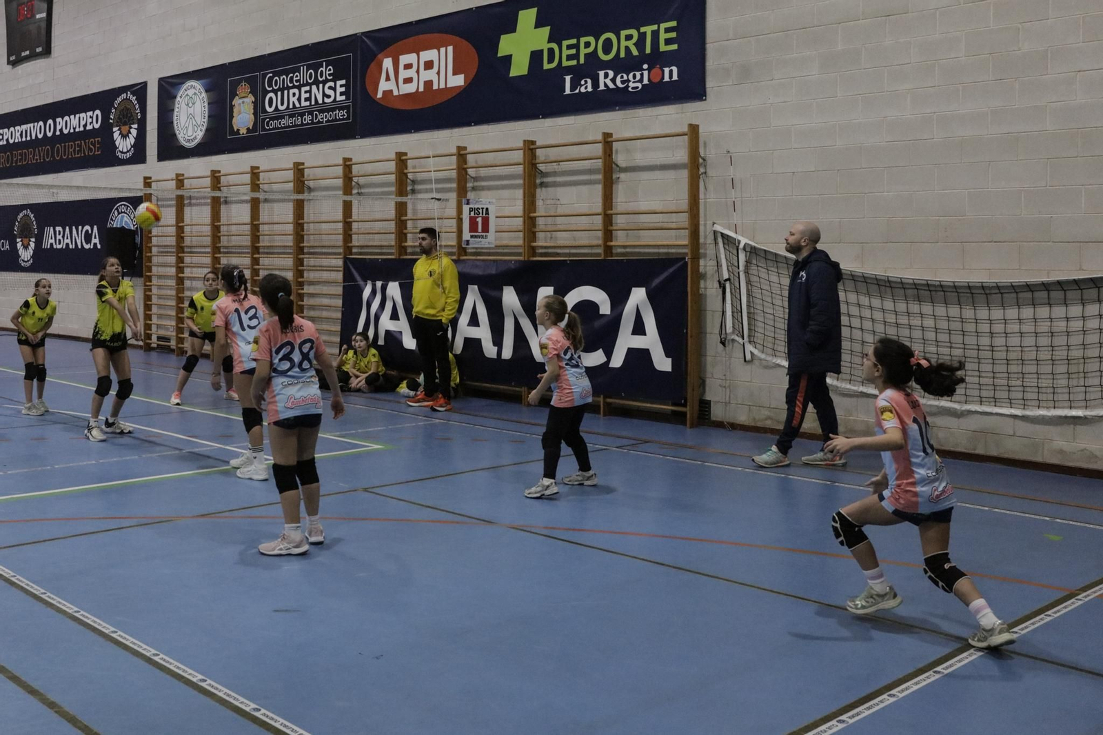 Galería | Voleibol, en fotos