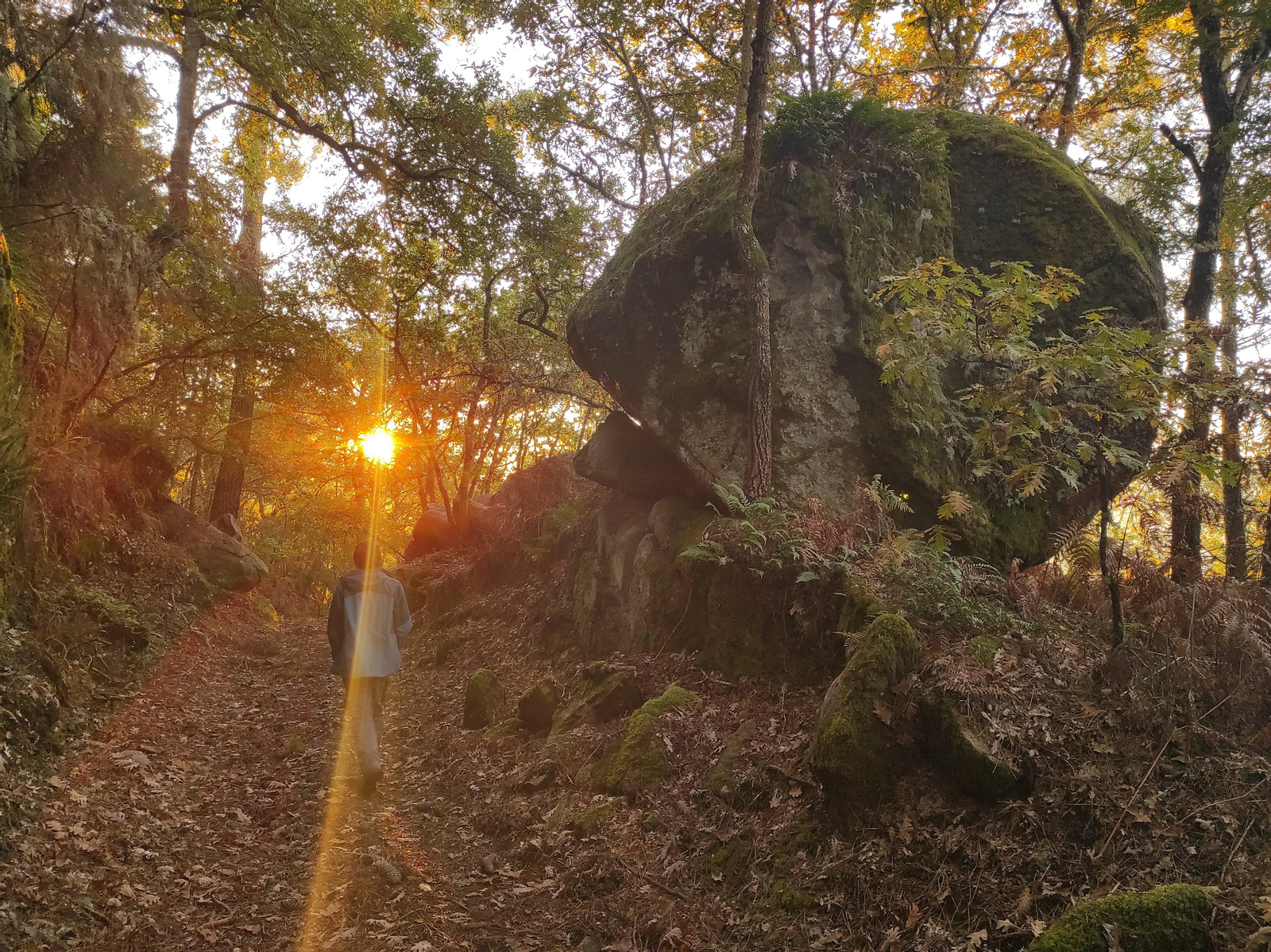 Senderismo en Pereiro de Aguiar