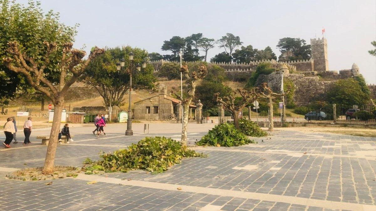 Imagen de los trabajos de poda en la zona del Castillo Monte Real.