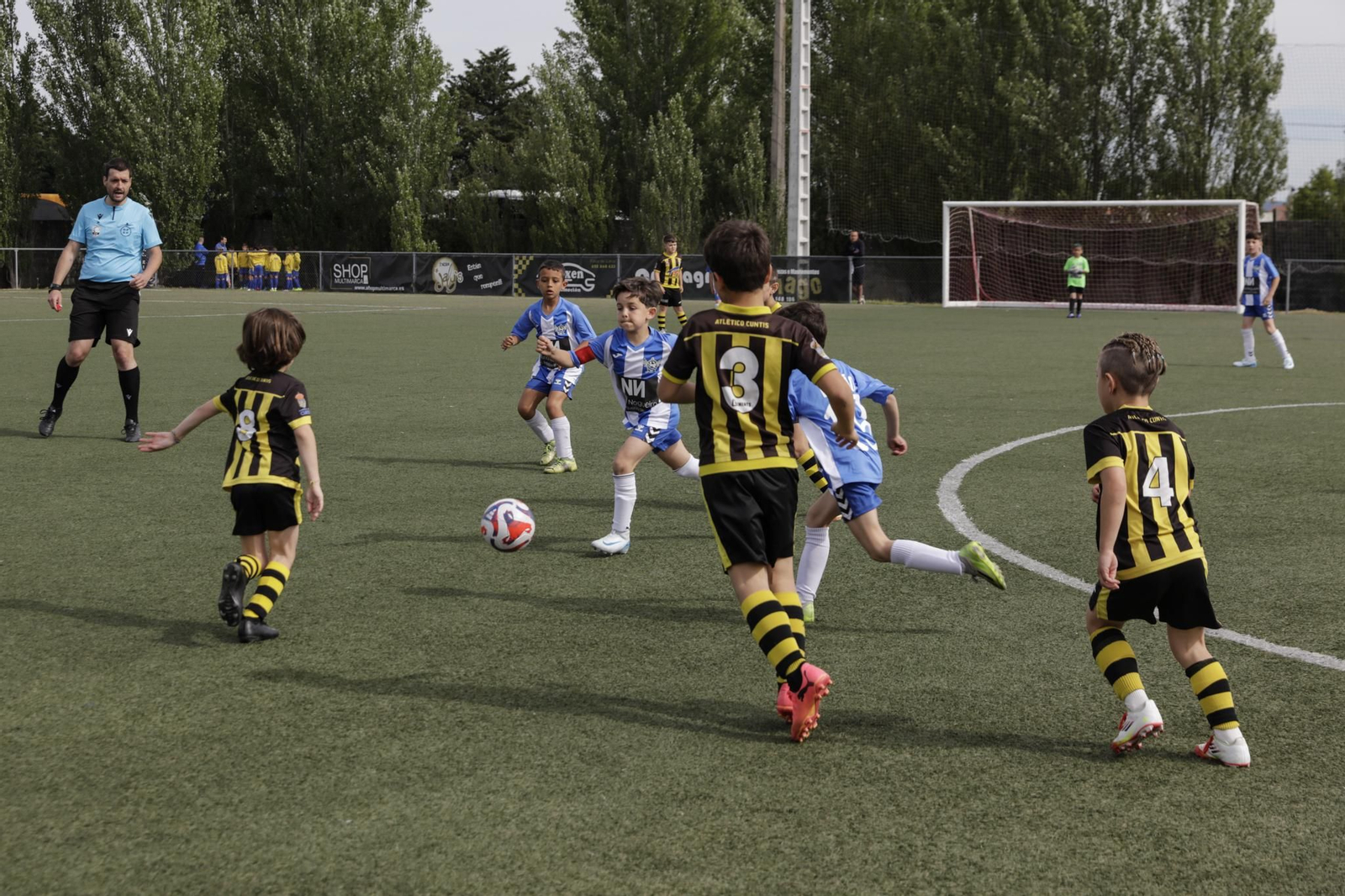 Galería | La fase intermedia del Campeonato Gallego de Fútbol 8 aterriza en Xinzo de Limia