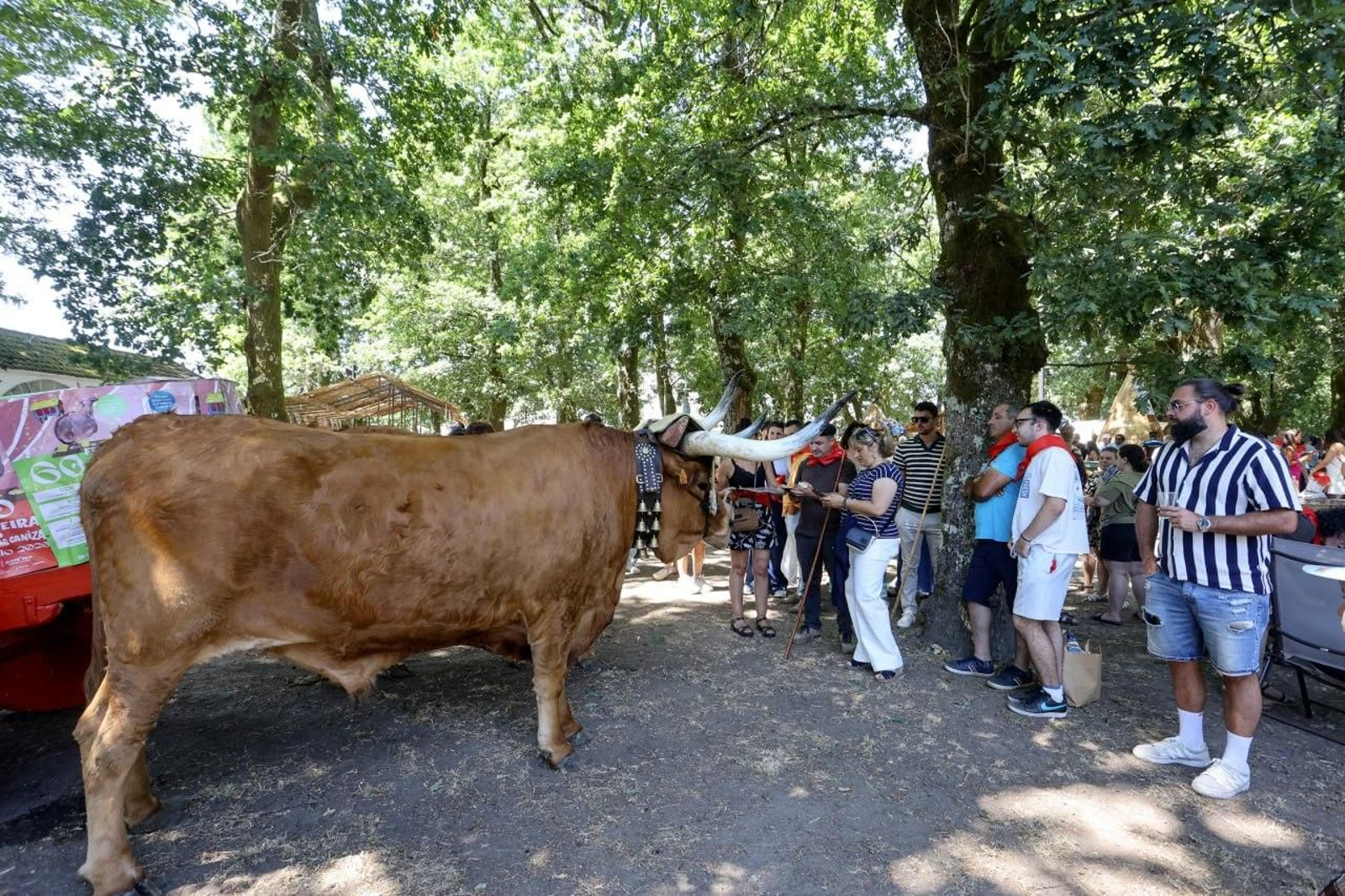 Galería | A Caniza vive su 60ª Feira do Xamón