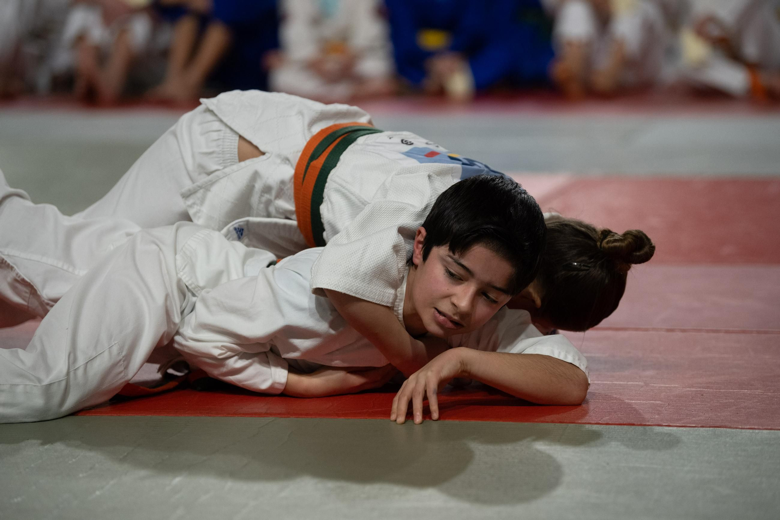 Galería | El judo arranca una edición más de su Copa Diputación