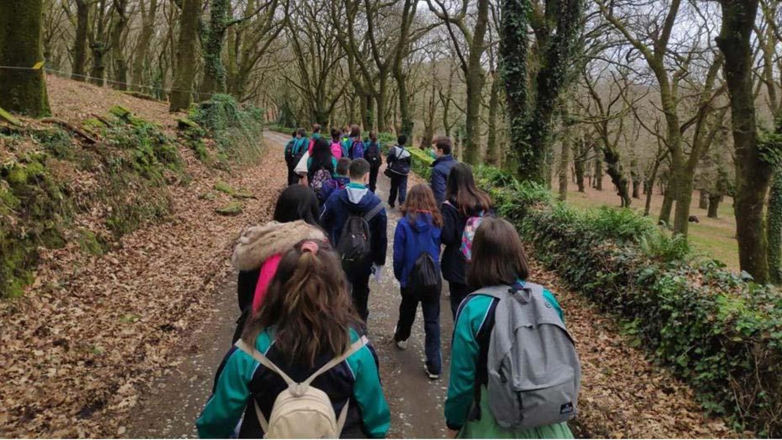 Silleda. Carballeira de Trasfontao, en el camino compostelano web