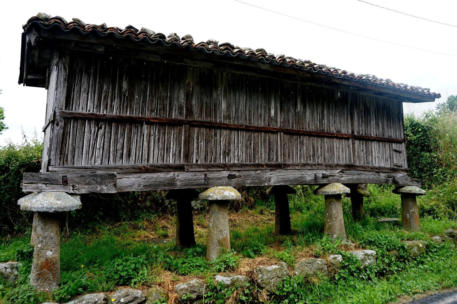 Entorno de O Castro.