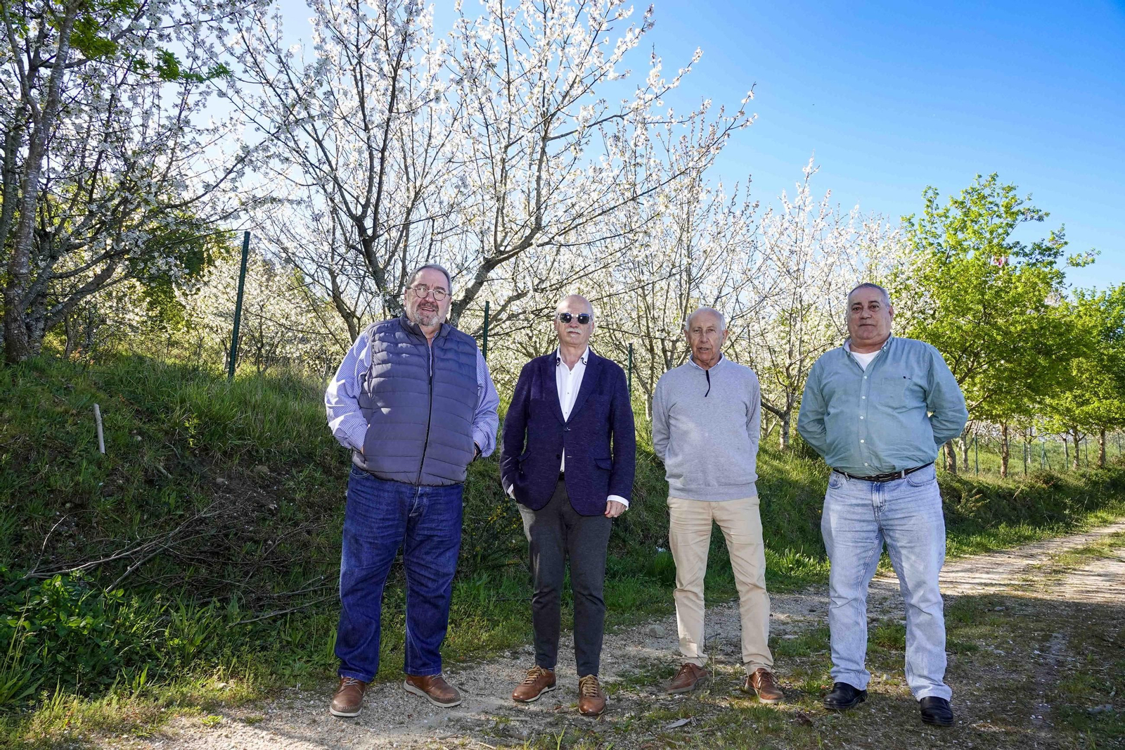 Miembros de la directiva de la Asociación de Vecinos de Beade, junto a los cerezos en flor.