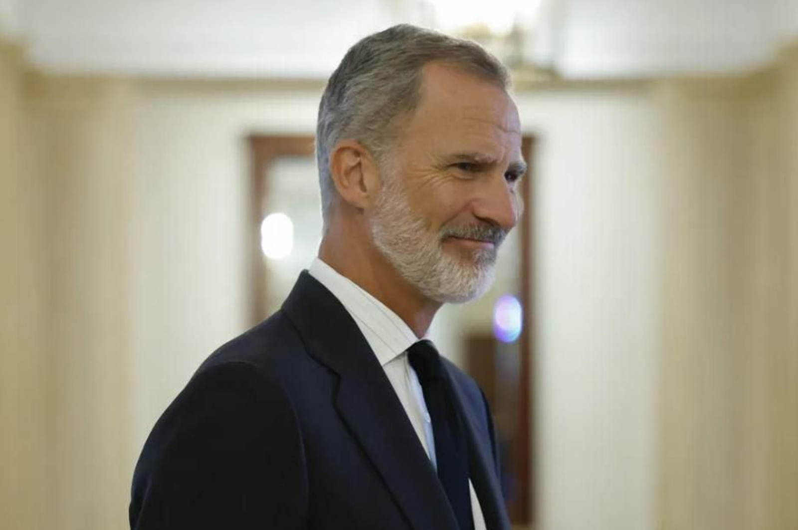 El rey Felipe VI (EFE)