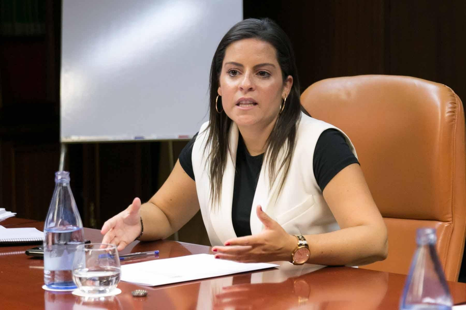 La consejera de Turismo de Canarias, Yaiza Castilla