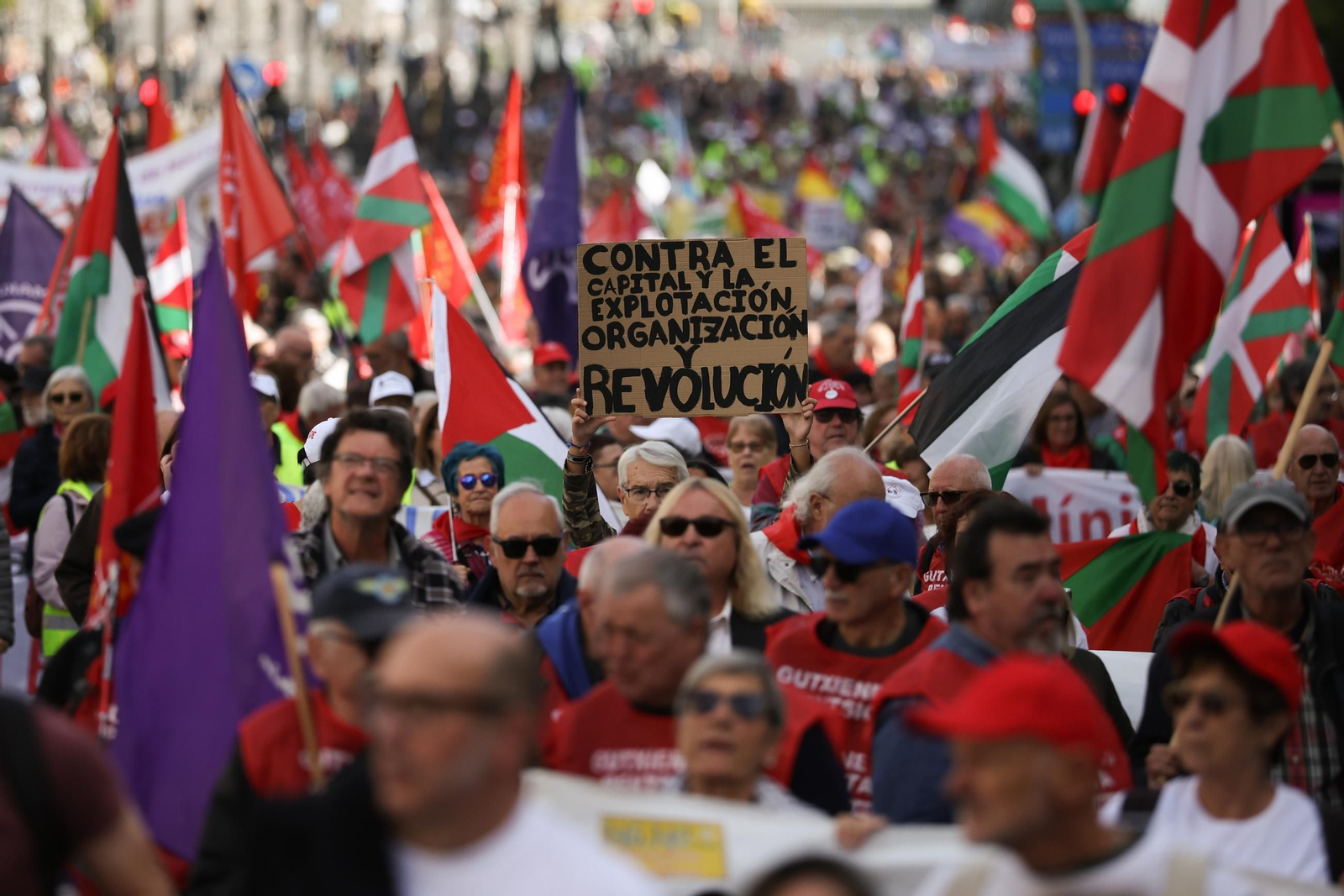 Galería | Miles de pensionistas se unen en Madrid para exigir la subida del 6%