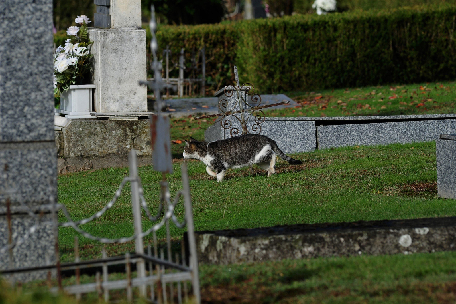 Día de Todos los Santos en el cementerio de San Francisco. José Paz