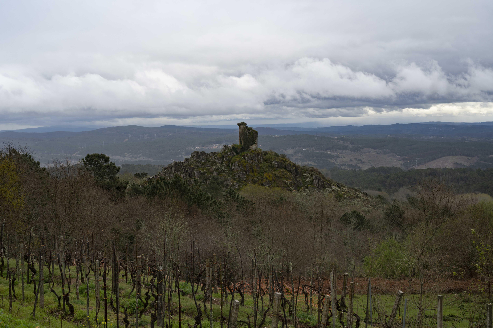 Torre de Sande
Fotos Martiño Pinal