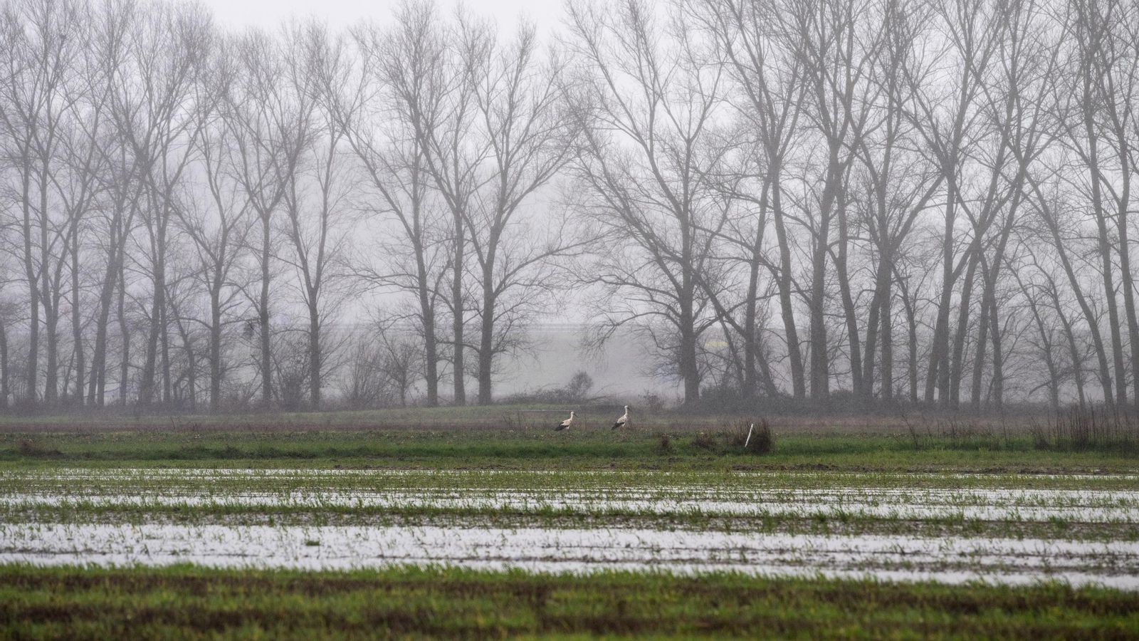 Imagen de Xinzo de Limia anegado por las intensas lluvias.