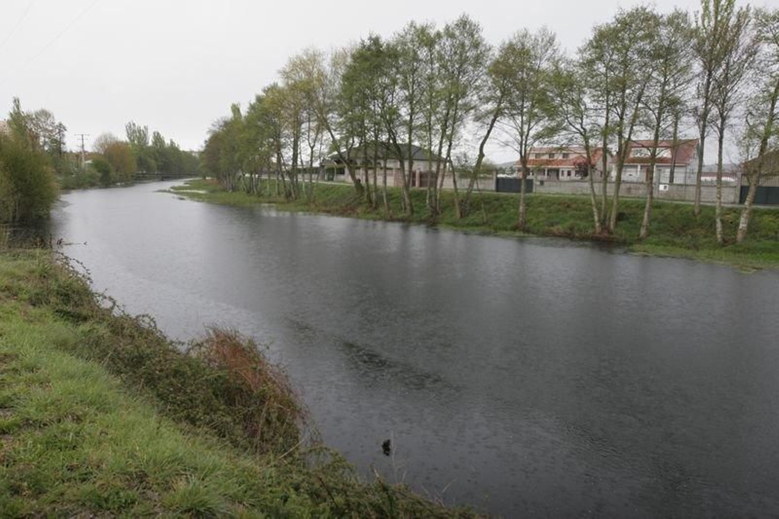 El río Limia a su paso por la localidad de Xinzo.