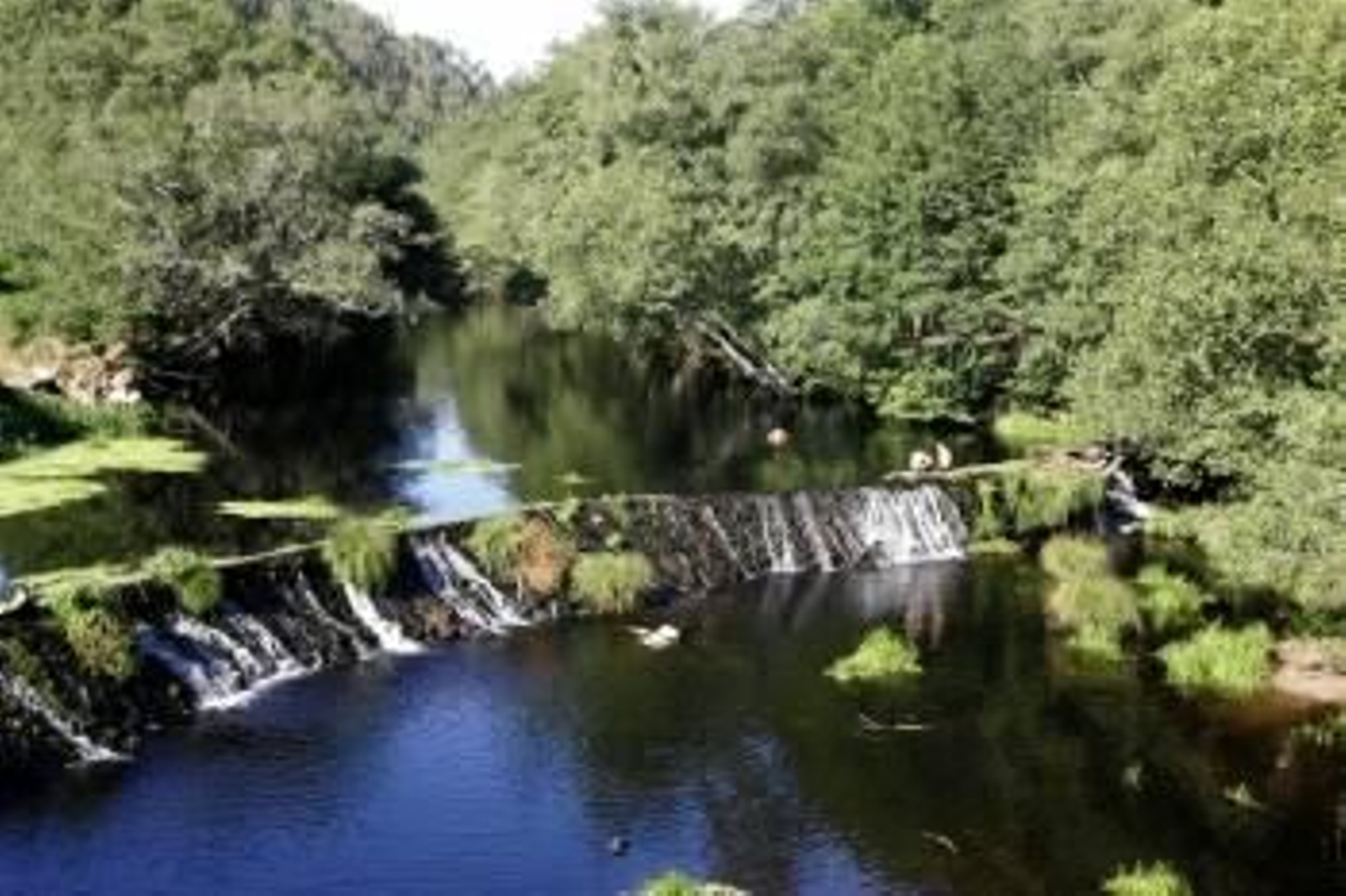 El área recreativa de Ponte Freixo está ubicada muy próxima al centro urbano de Celanova. Allí acuden muchas personas cada día a bañarse y a compartir comidas campestres