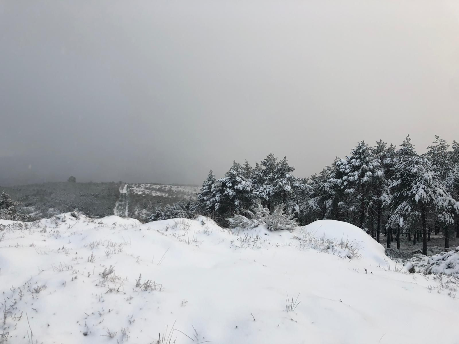 La nieve cubrió de blanco el Alto do Foxo