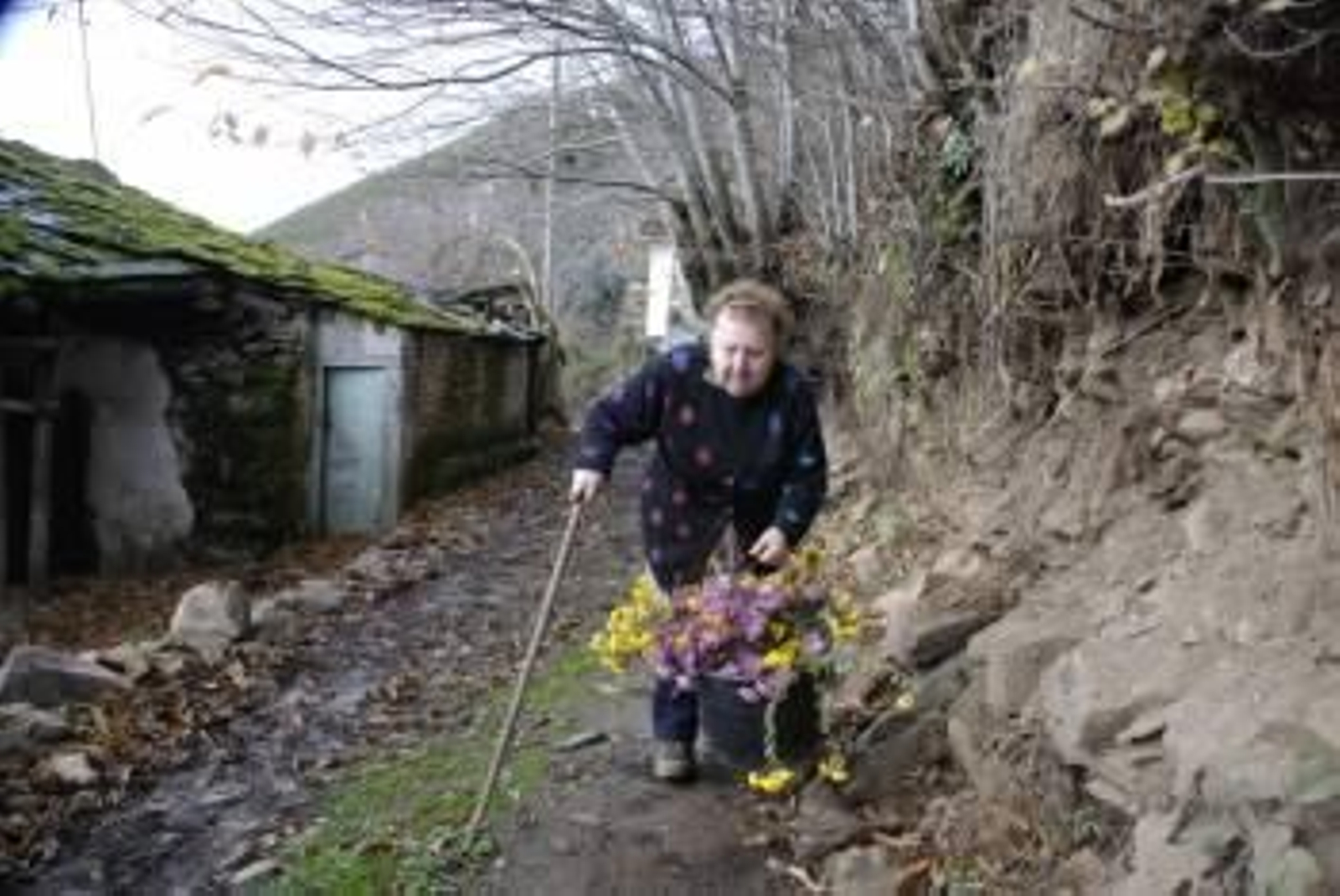 Carmen Fernández, lleva flores al cementerio. (Foto: LUIS BLANCO)
