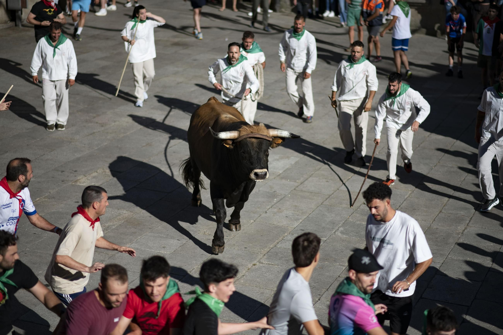 Galería | Allariz desfruta a Festa do Boi con paixón e fervor ata o último suspiro