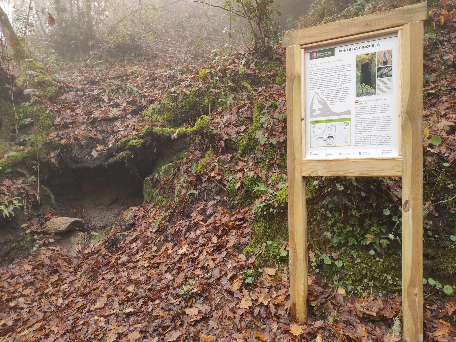Senderismo en Pereiro de Aguiar. Se ha mejorado los paneles informativos y las señalizaciones.