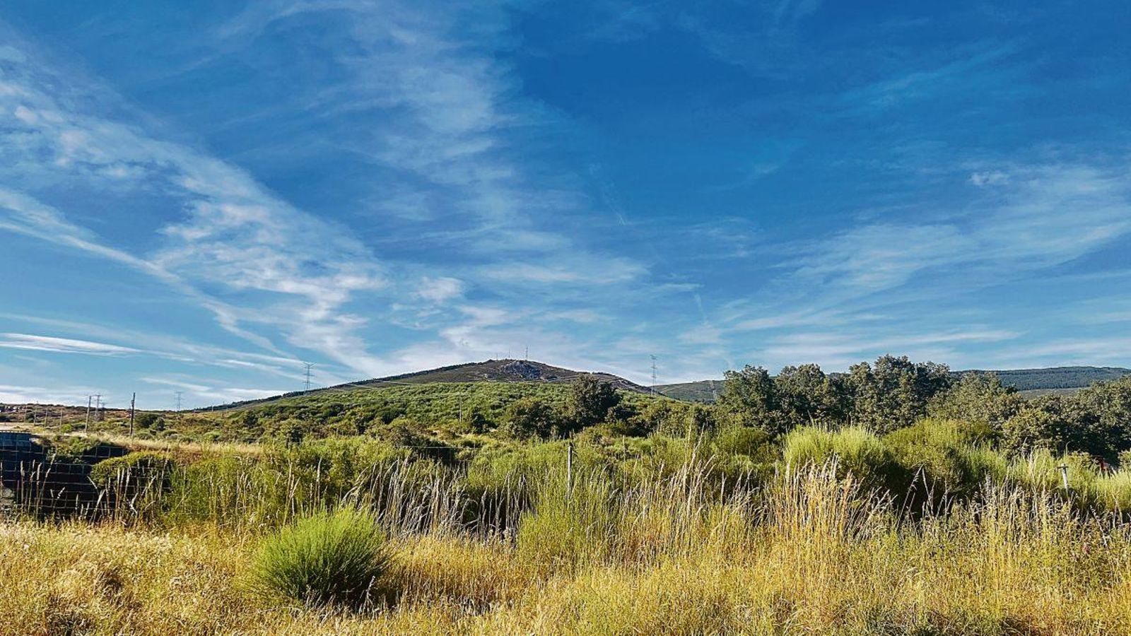 Monte de O Testeiro en la aldea de O Canizo.  (FOTO: C. CLAVERÍA)