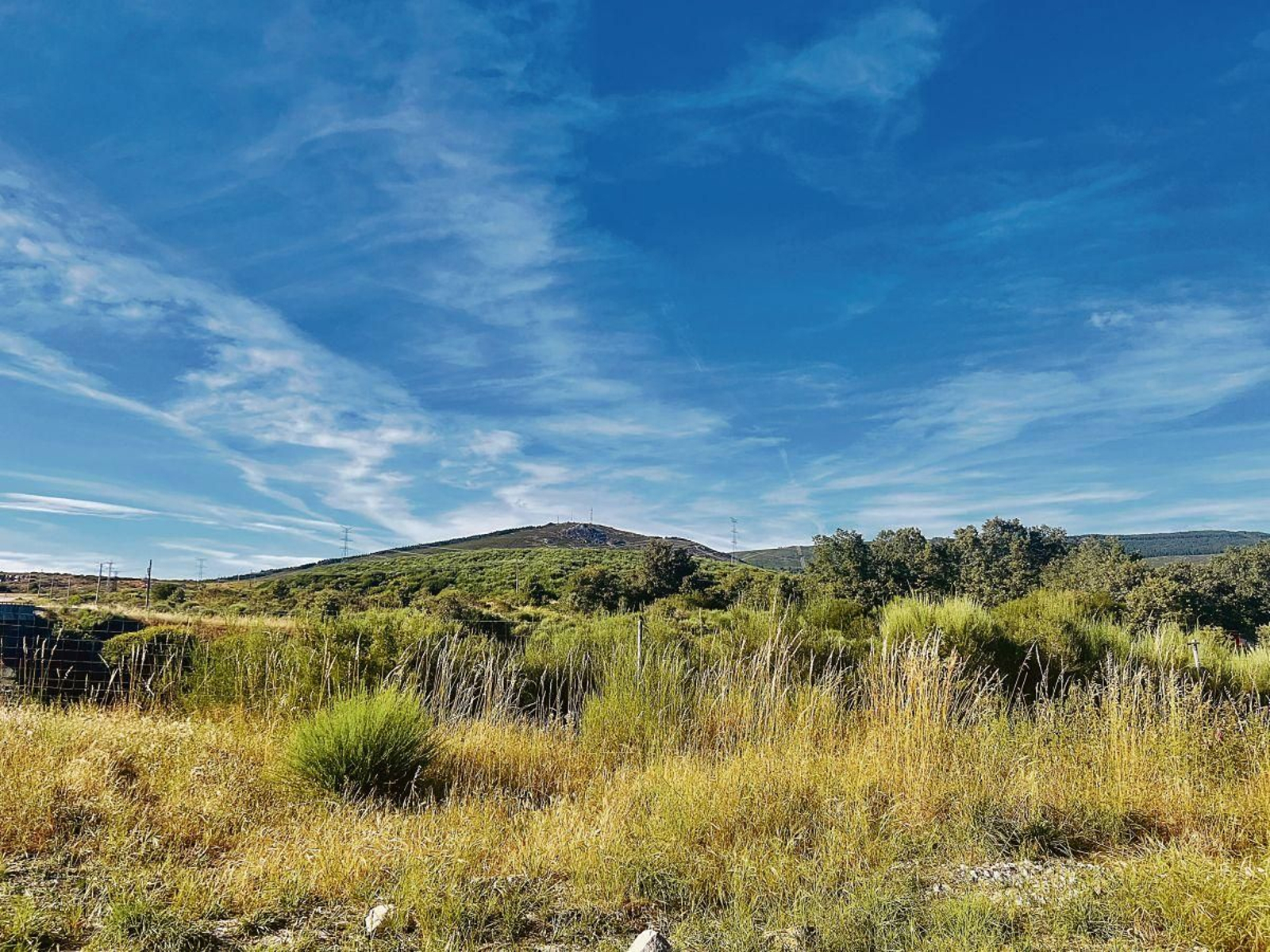 Monte de O Testeiro en la aldea de O Canizo.  (FOTO: C. CLAVERÍA)