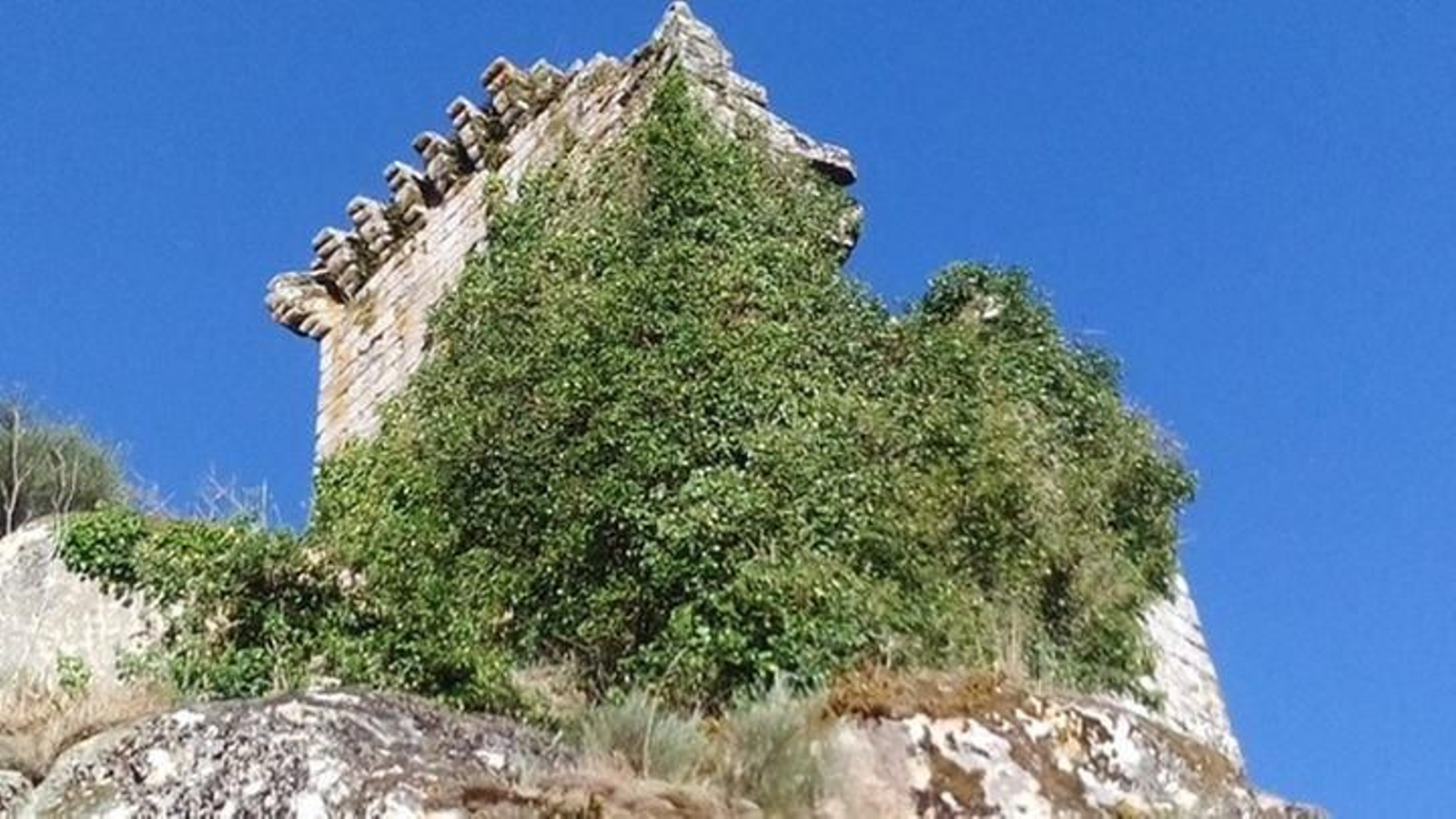 La vegetación ha tomado una parte de la torre de Sande, en el concello de Cartelle.