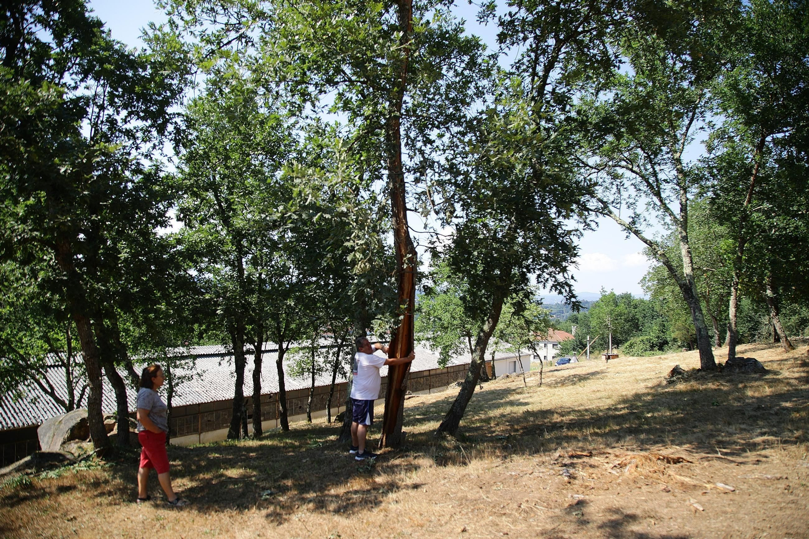 Fernando Forneiro y Dolores Cid en la finca junto al árbol.
