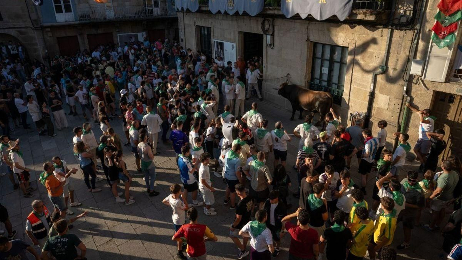 El boi en la primera salida por las calles alaricanas, rodeada de la gente con sus pañoletas verdes al cuello.