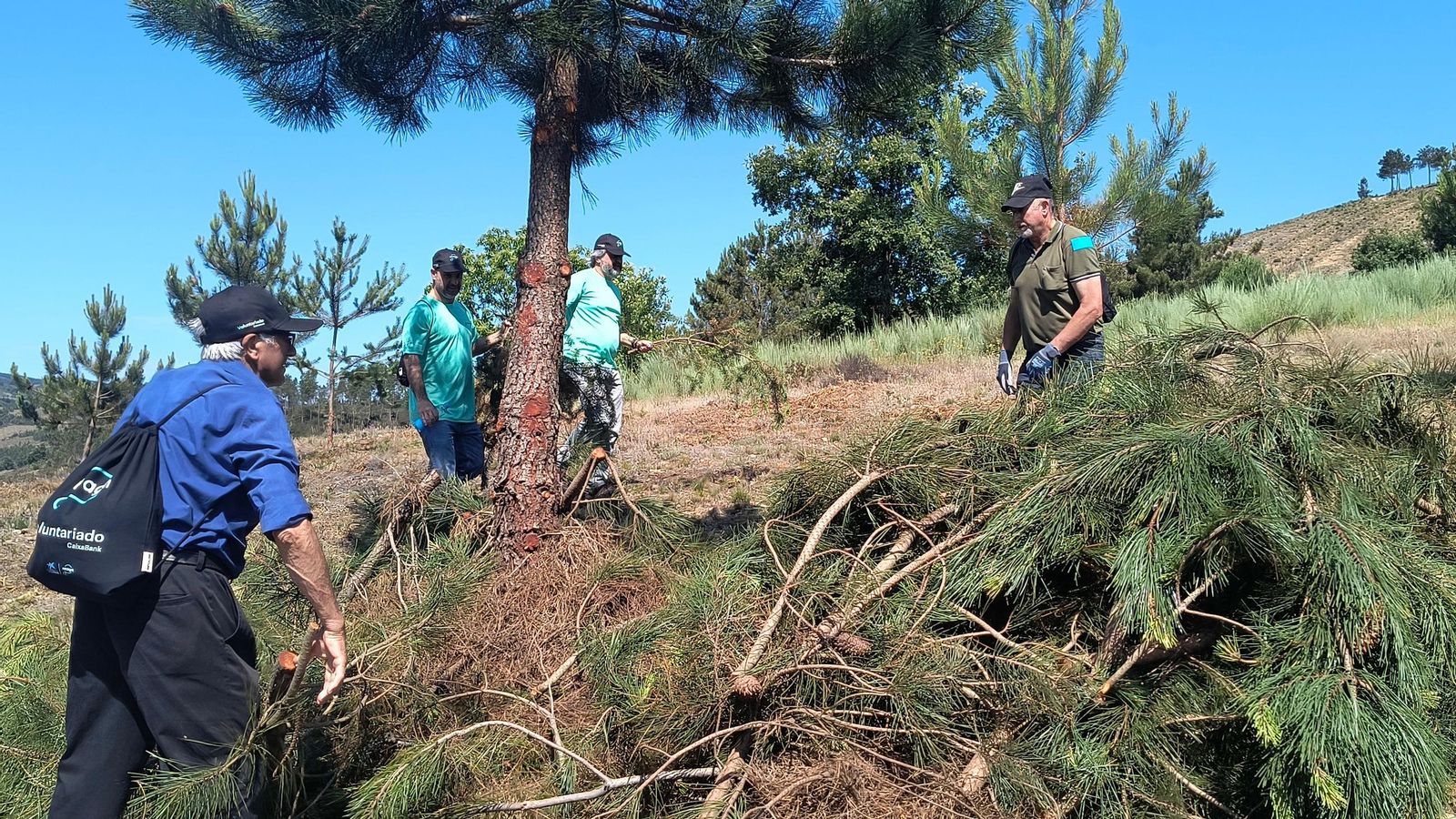 Voluntarios durante la jornada en Castrelo do Val.